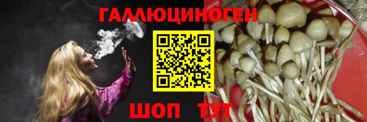 Галлюциногенные грибы MAGIC MUSHROOMS Красногорск