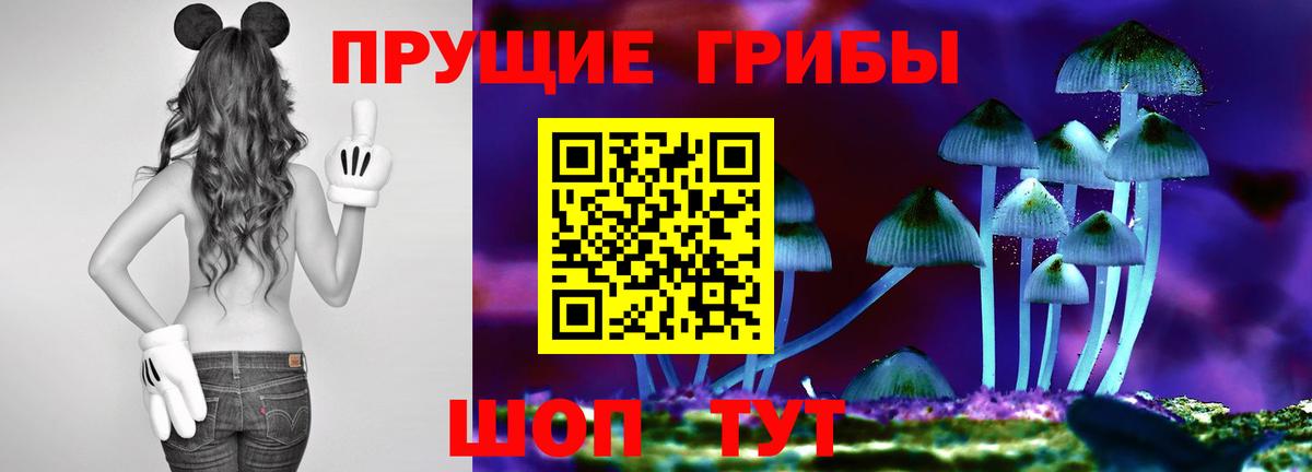 Псилоцибиновые грибы Cubensis  закладка  Красногорск 